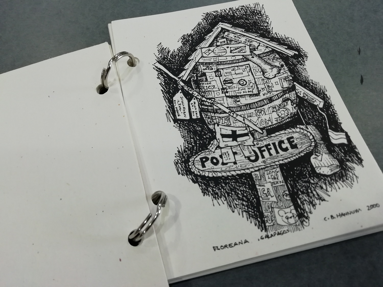 Archival binder page with a drawing labeled Floreana, Galapagos.